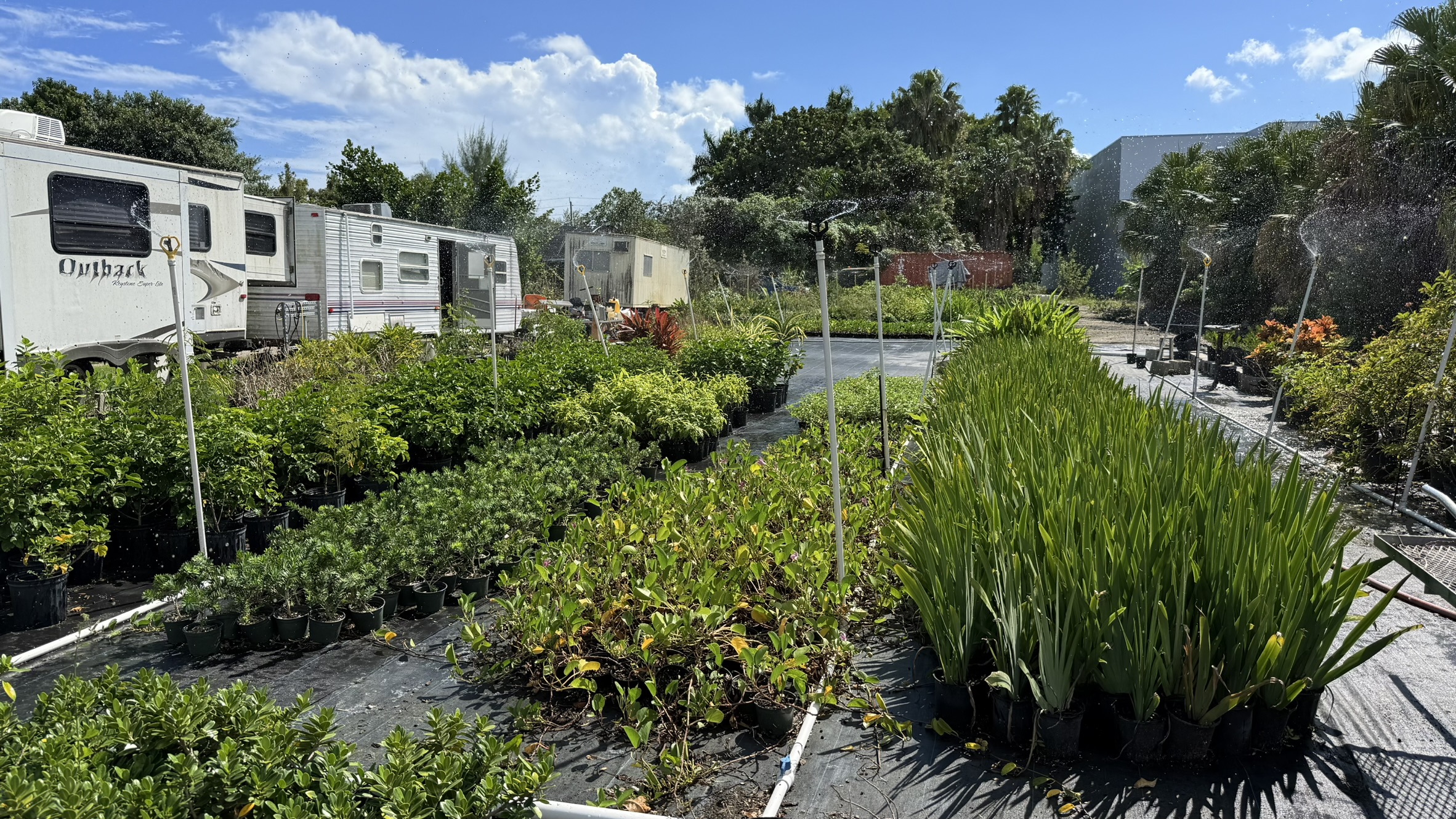 Zugar Growers Nursery | Fort Lauderdale
