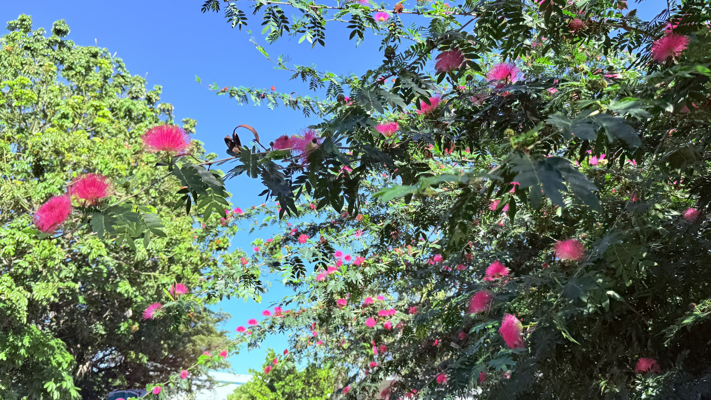 Zugar Growers Nursery | Fort Lauderdale