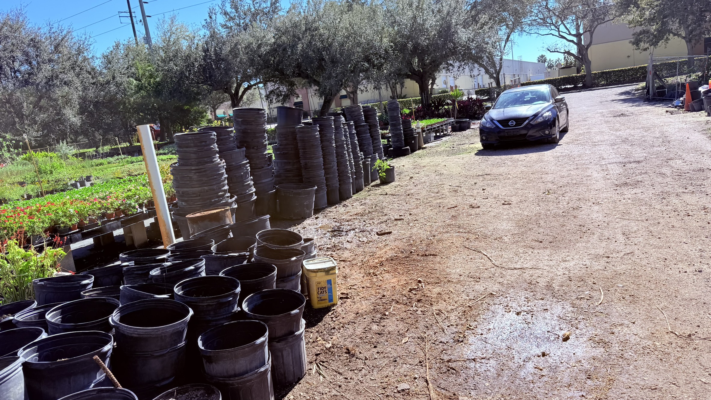 Zugar Growers Nursery | Fort Lauderdale