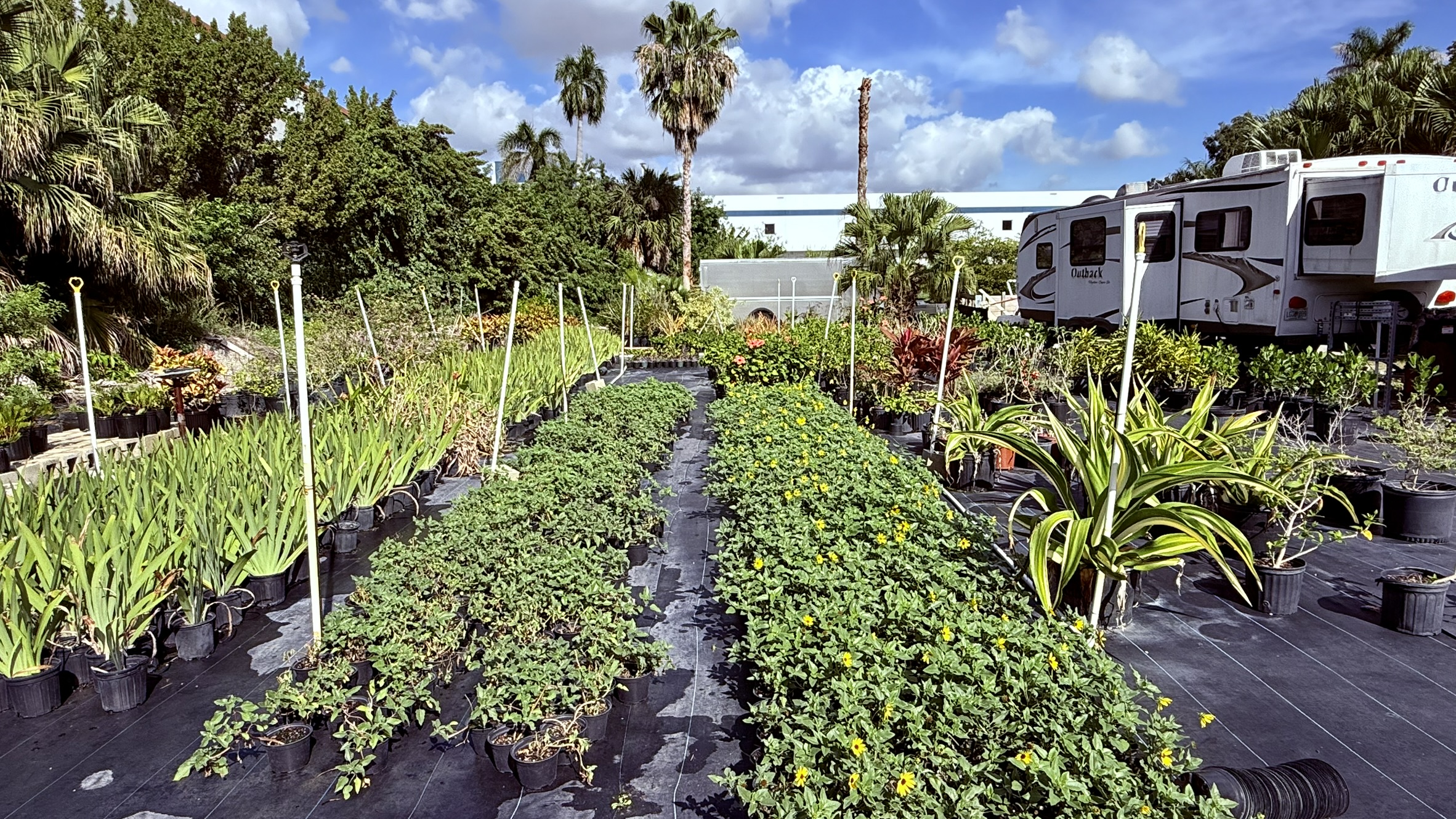 Zugar Growers Nursery | Fort Lauderdale