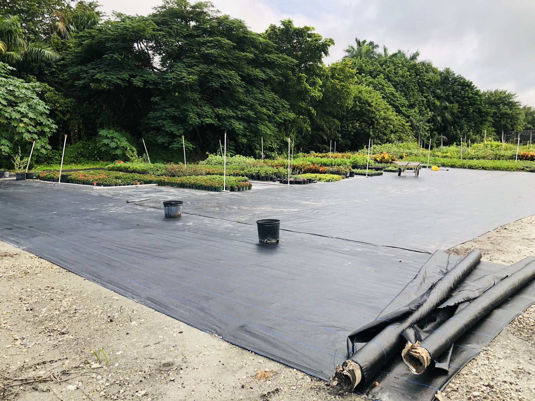Zugar Growers Nursery | Fort Lauderdale