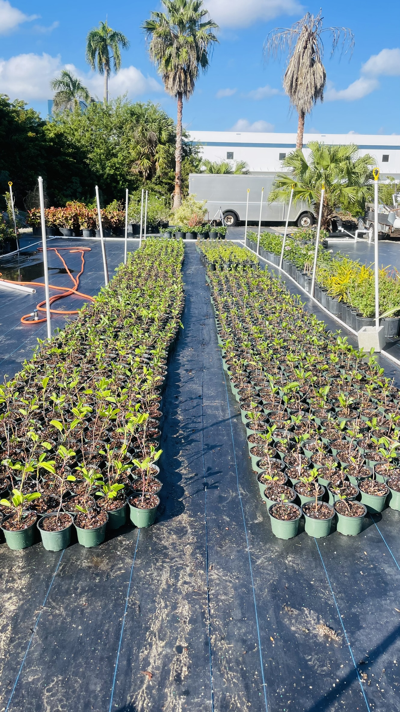Zugar Growers Nursery | Fort Lauderdale
